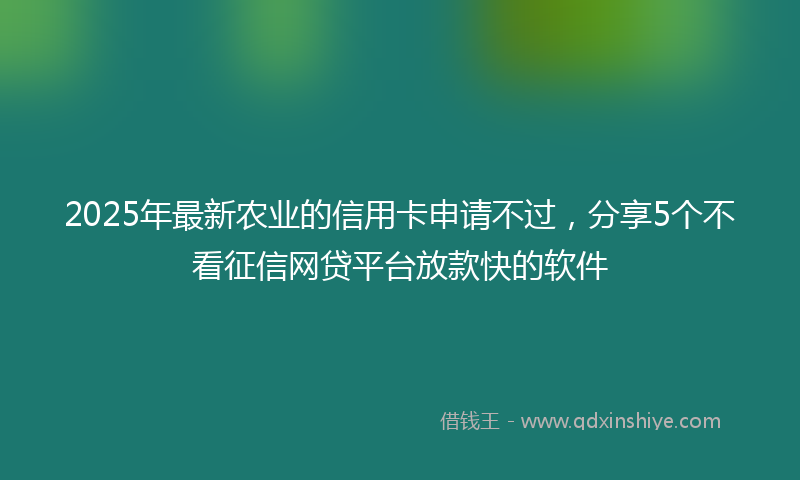 2025年最新农业的信用卡申请不过，分享5个不看征信网贷平台放款快的软件