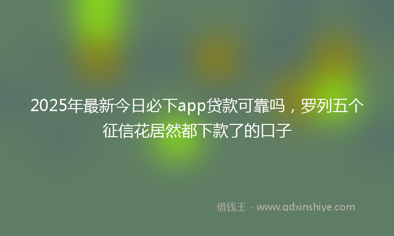 2025年最新今日必下app贷款可靠吗，罗列五个征信花居然都下款了的口子