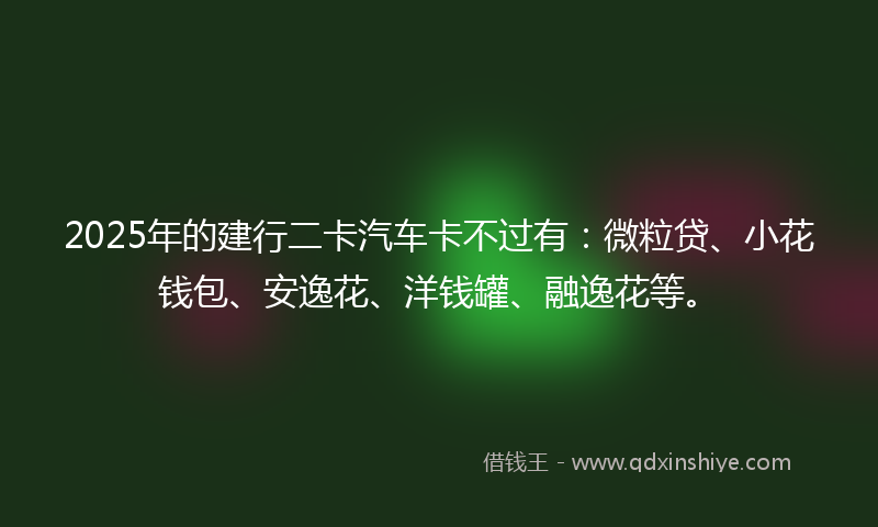 2025年的建行二卡汽车卡不过有：微粒贷、小花钱包、安逸花、洋钱罐、融逸花等。
