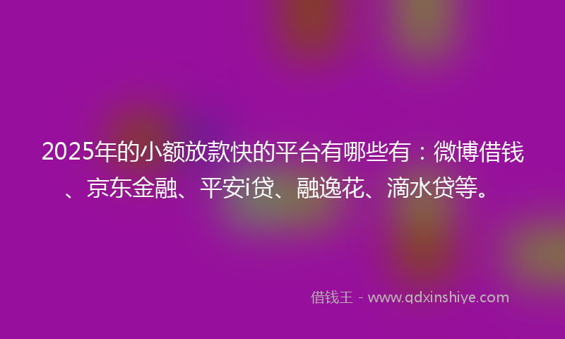 2025年的小额放款快的平台有哪些有：微博借钱、京东金融、平安i贷、融逸花、滴水贷等。