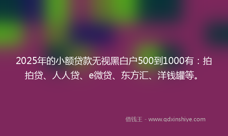 2025年的小额贷款无视黑白户500到1000有：拍拍贷、人人贷、e微贷、东方汇、洋钱罐等。