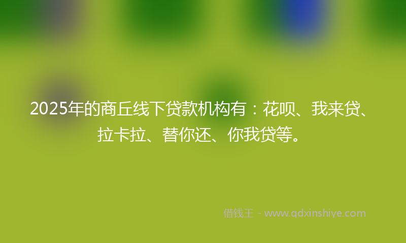 2025年的商丘线下贷款机构有：花呗、我来贷、拉卡拉、替你还、你我贷等。