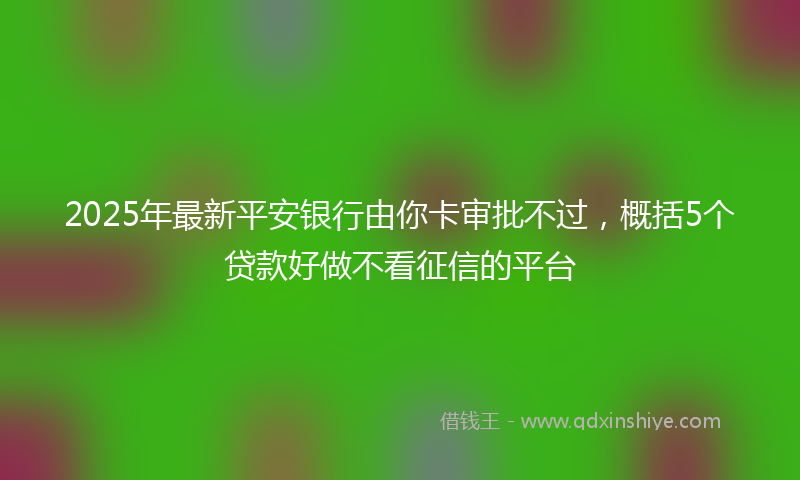 2025年最新平安银行由你卡审批不过，概括5个贷款好做不看征信的平台