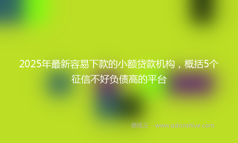 2025年最新容易下款的小额贷款机构，概括5个征信不好负债高的平台