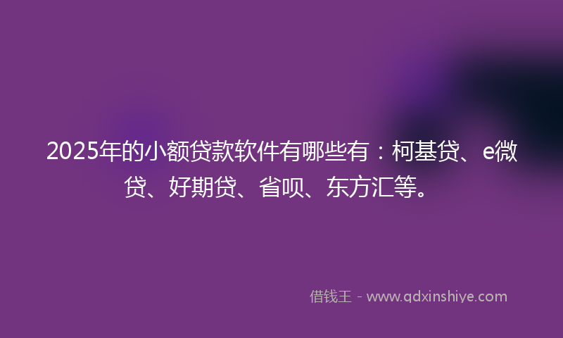 2025年的小额贷款软件有哪些有：柯基贷、e微贷、好期贷、省呗、东方汇等。