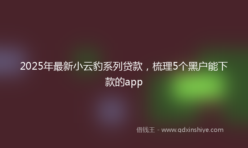 2025年最新小云豹系列贷款，梳理5个黑户能下款的app