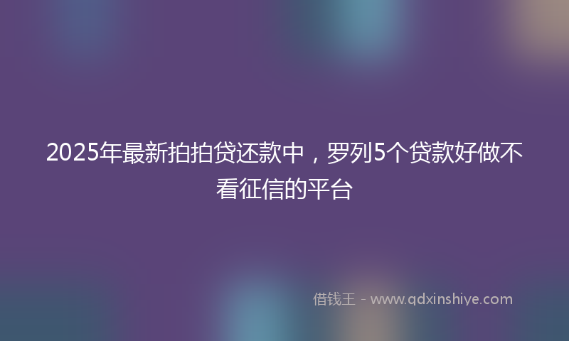 2025年最新拍拍贷还款中，罗列5个贷款好做不看征信的平台