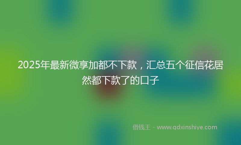 2025年最新微享加都不下款，汇总五个征信花居然都下款了的口子