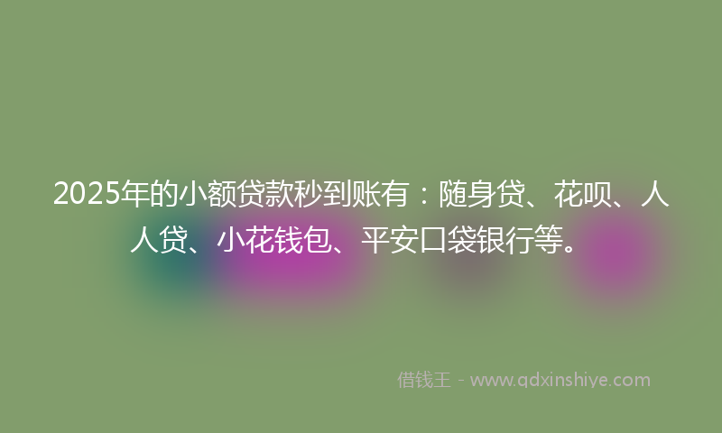 2025年的小额贷款秒到账有：随身贷、花呗、人人贷、小花钱包、平安口袋银行等。