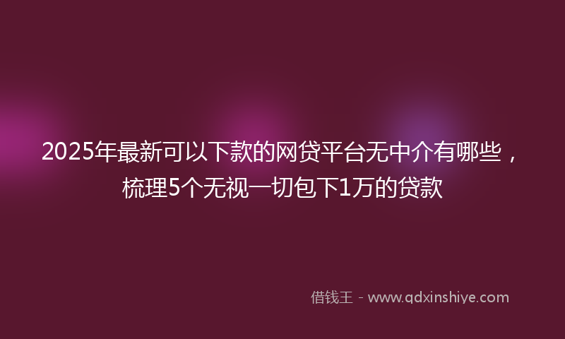 2025年最新可以下款的网贷平台无中介有哪些，梳理5个无视一切包下1万的贷款