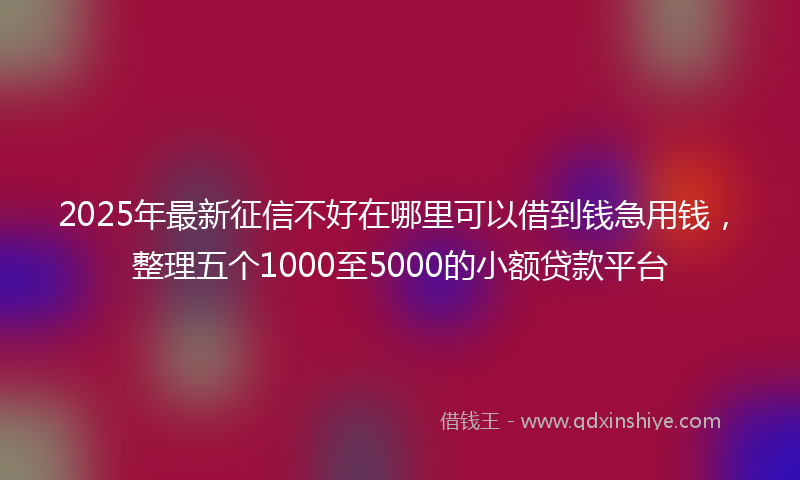 2025年最新征信不好在哪里可以借到钱急用钱，整理五个1000至5000的小额贷款平台