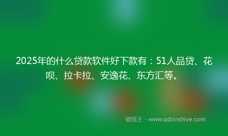 2025年的什么贷款软件好下款有：51人品贷、花呗、拉卡拉、安逸花、东方汇等。