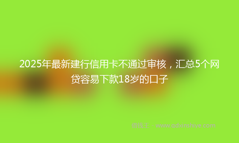 2025年最新建行信用卡不通过审核，汇总5个网贷容易下款18岁的口子