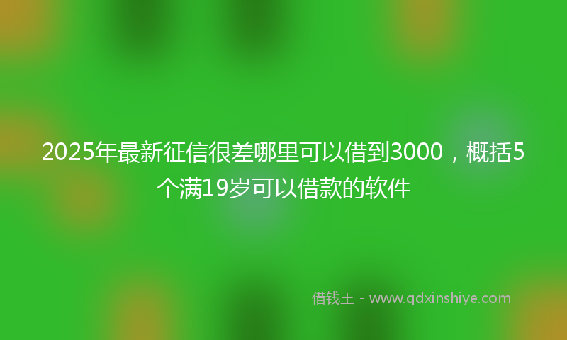 2025年最新征信很差哪里可以借到3000，概括5个满19岁可以借款的软件