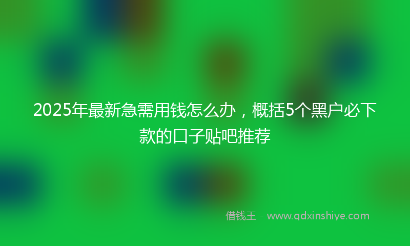 2025年最新急需用钱怎么办，概括5个黑户必下款的口子贴吧推荐