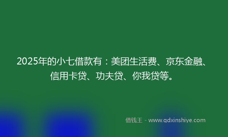 2025年的小七借款有：美团生活费、京东金融、信用卡贷、功夫贷、你我贷等。