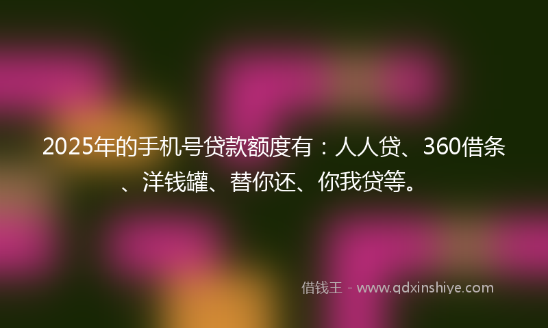 2025年的手机号贷款额度有：人人贷、360借条、洋钱罐、替你还、你我贷等。