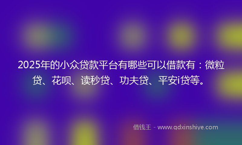 2025年的小众贷款平台有哪些可以借款有：微粒贷、花呗、读秒贷、功夫贷、平安i贷等。