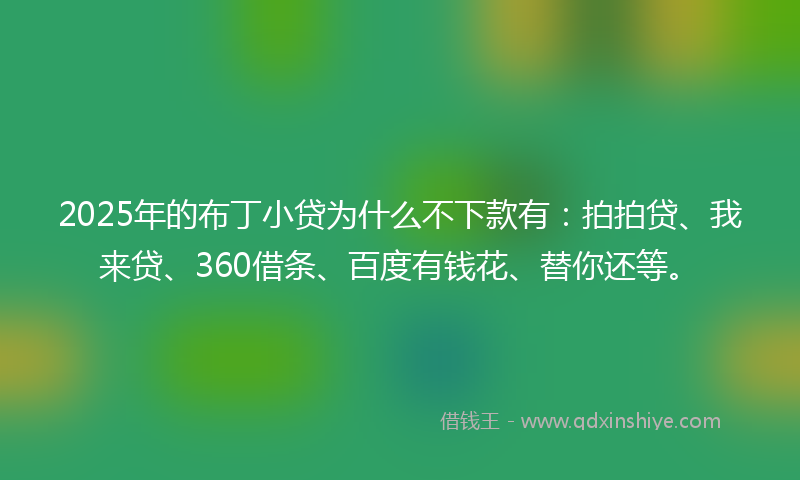 2025年的布丁小贷为什么不下款有：拍拍贷、我来贷、360借条、百度有钱花、替你还等。