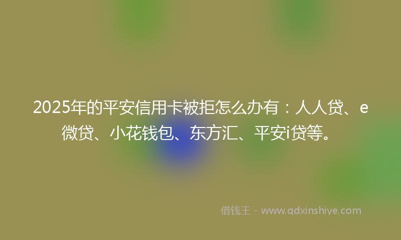2025年的平安信用卡被拒怎么办有：人人贷、e微贷、小花钱包、东方汇、平安i贷等。