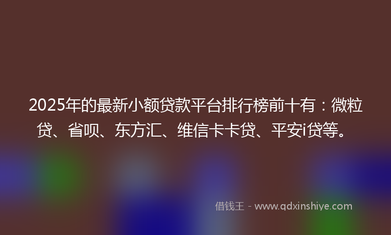 2025年的最新小额贷款平台排行榜前十有：微粒贷、省呗、东方汇、维信卡卡贷、平安i贷等。