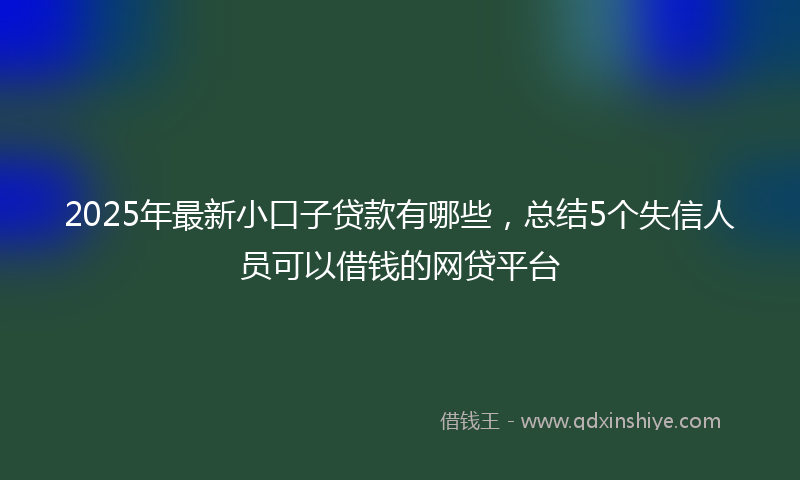 2025年最新小口子贷款有哪些，总结5个失信人员可以借钱的网贷平台