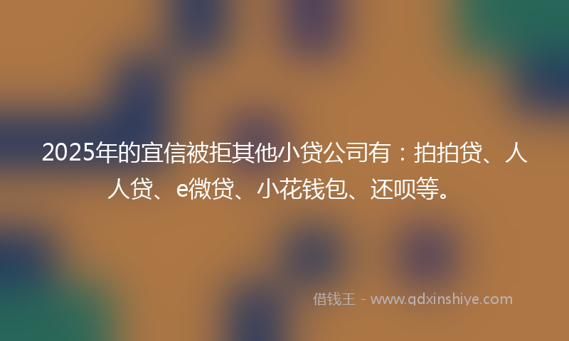 2025年的宜信被拒其他小贷公司有：拍拍贷、人人贷、e微贷、小花钱包、还呗等。