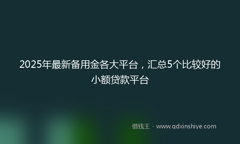 2025年最新备用金各大平台，汇总5个比较好的小额贷款平台