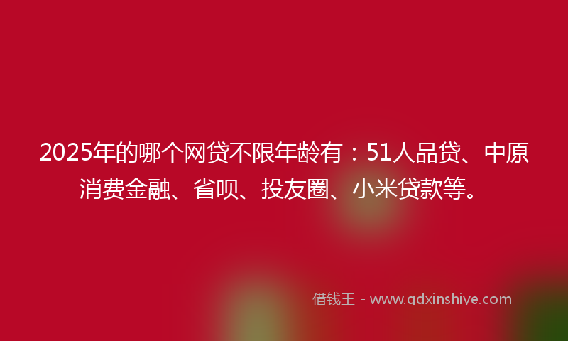 2025年的哪个网贷不限年龄有：51人品贷、中原消费金融、省呗、投友圈、小米贷款等。