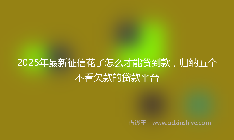 2025年最新征信花了怎么才能贷到款，归纳五个不看欠款的贷款平台