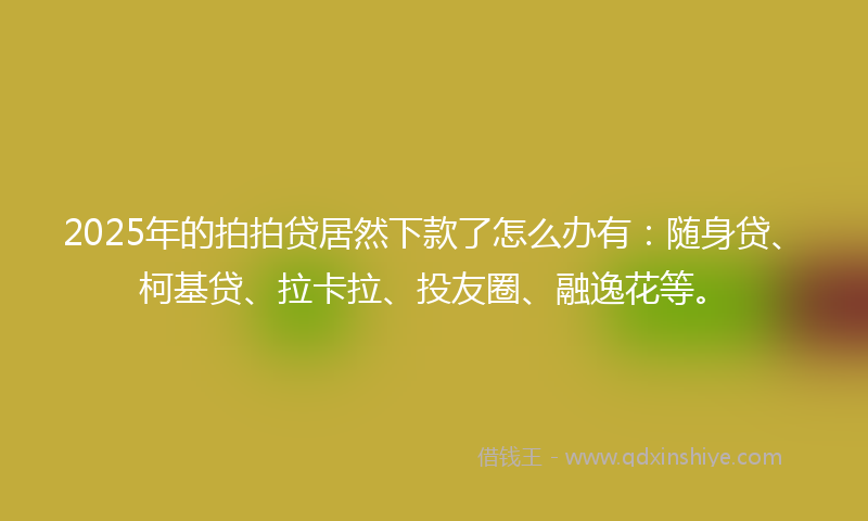 2025年的拍拍贷居然下款了怎么办有：随身贷、柯基贷、拉卡拉、投友圈、融逸花等。