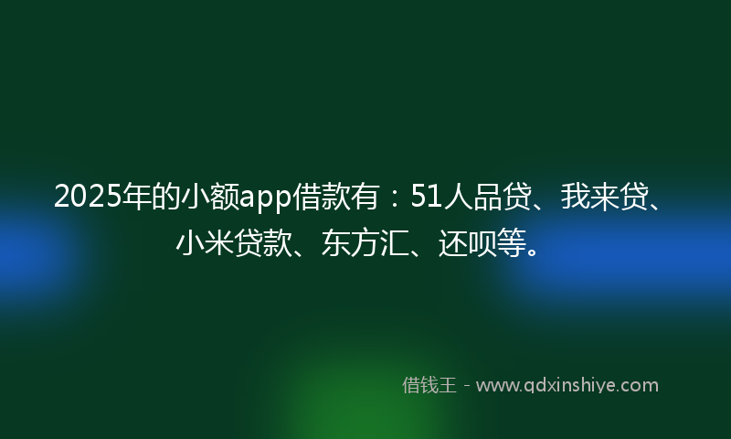 2025年的小额app借款有：51人品贷、我来贷、小米贷款、东方汇、还呗等。