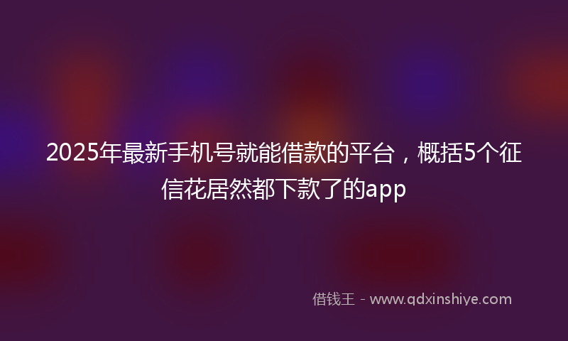 2025年最新手机号就能借款的平台，概括5个征信花居然都下款了的app