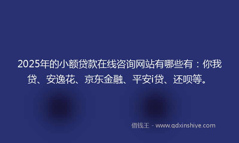 2025年的小额贷款在线咨询网站有哪些有：你我贷、安逸花、京东金融、平安i贷、还呗等。