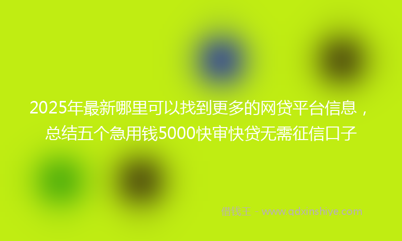 2025年最新哪里可以找到更多的网贷平台信息，总结五个急用钱5000快审快贷无需征信口子