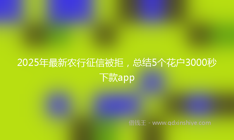2025年最新农行征信被拒，总结5个花户3000秒下款app