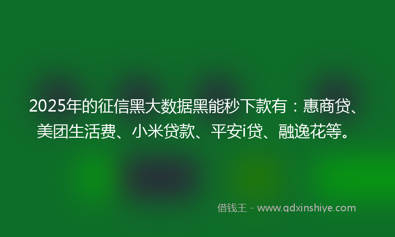 2025年的征信黑大数据黑能秒下款有：惠商贷、美团生活费、小米贷款、平安i贷、融逸花等。