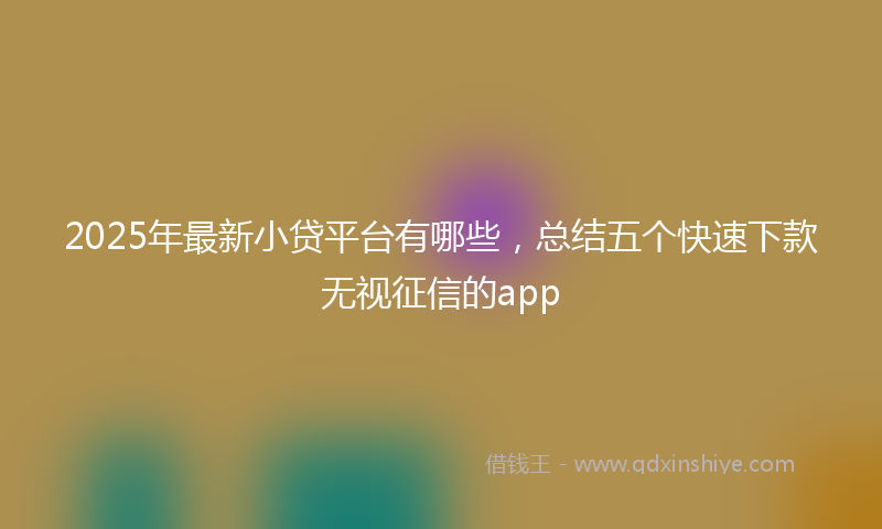 2025年最新小贷平台有哪些，总结五个快速下款无视征信的app