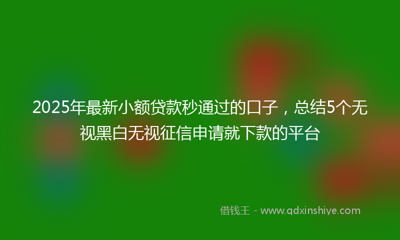 2025年最新小额贷款秒通过的口子，总结5个无视黑白无视征信申请就下款的平台