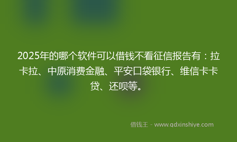 2025年的哪个软件可以借钱不看征信报告有：拉卡拉、中原消费金融、平安口袋银行、维信卡卡贷、还呗等。
