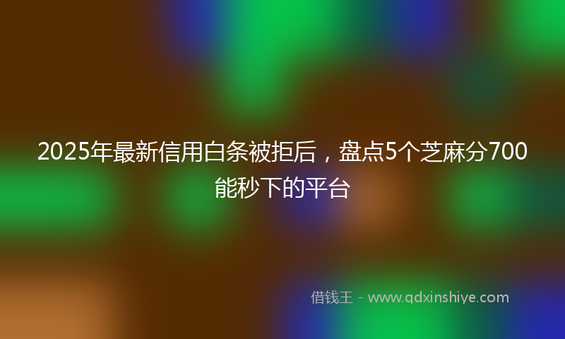 2025年最新信用白条被拒后，盘点5个芝麻分700能秒下的平台