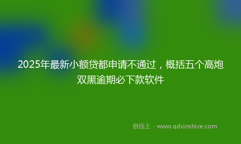 2025年最新小额贷都申请不通过，概括五个高炮双黑逾期必下款软件