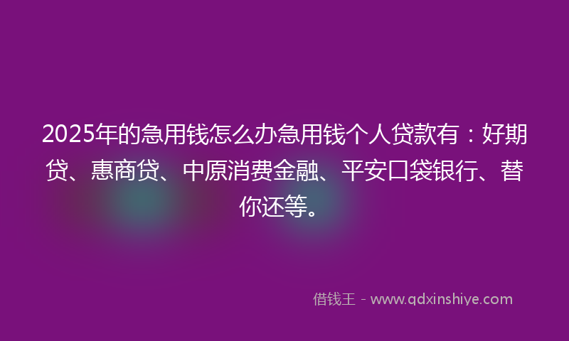 2025年的急用钱怎么办急用钱个人贷款有：好期贷、惠商贷、中原消费金融、平安口袋银行、替你还等。