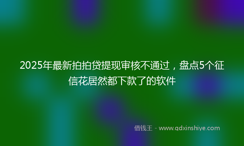 2025年最新拍拍贷提现审核不通过，盘点5个征信花居然都下款了的软件
