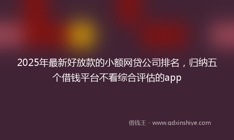 2025年最新好放款的小额网贷公司排名，归纳五个借钱平台不看综合评估的app