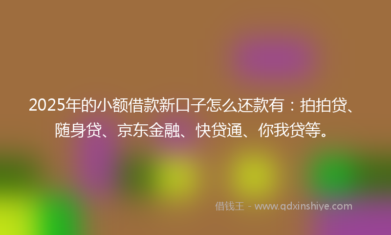 2025年的小额借款新口子怎么还款有：拍拍贷、随身贷、京东金融、快贷通、你我贷等。