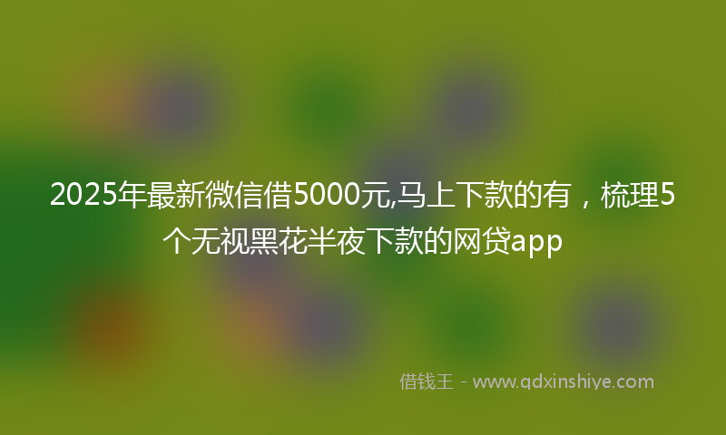 2025年最新微信借5000元,马上下款的有，梳理5个无视黑花半夜下款的网贷app