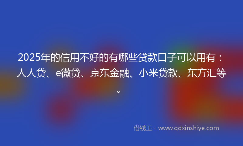 2025年的信用不好的有哪些贷款口子可以用有：人人贷、e微贷、京东金融、小米贷款、东方汇等。