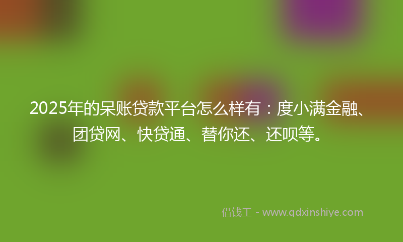 2025年的呆账贷款平台怎么样有：度小满金融、团贷网、快贷通、替你还、还呗等。