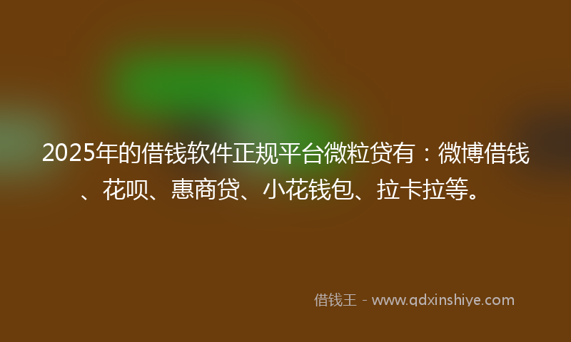 2025年的借钱软件正规平台微粒贷有：微博借钱、花呗、惠商贷、小花钱包、拉卡拉等。